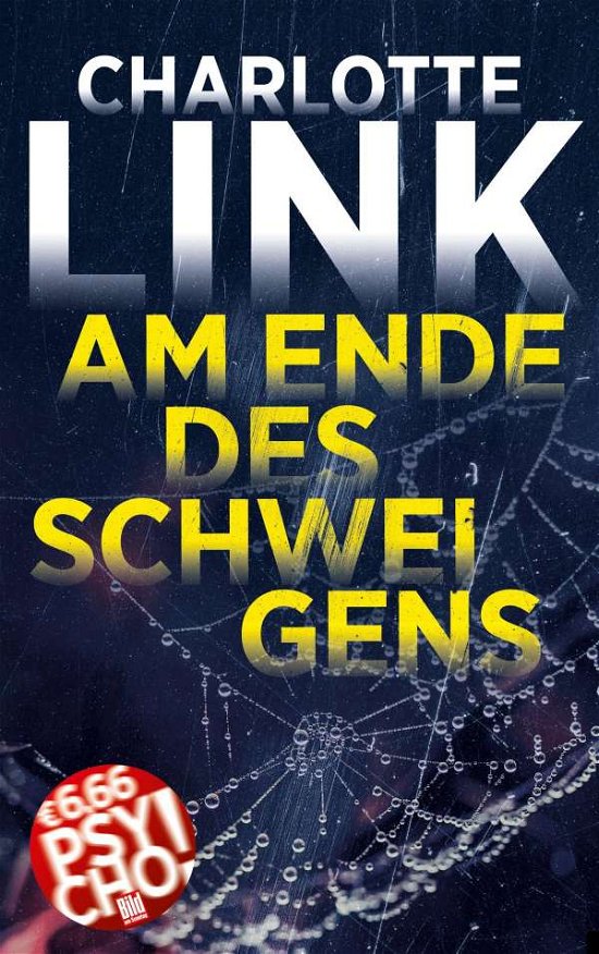 Cover for Link · Am Ende des Schweigens (N/A)