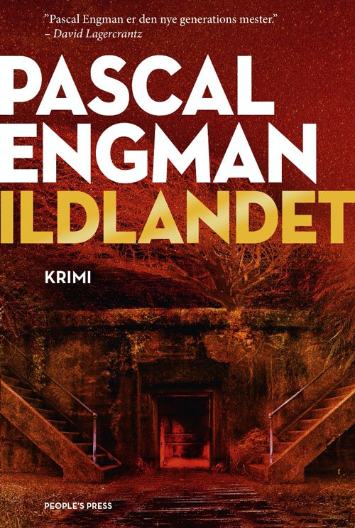 Cover for Pascal Engman · Vanessa Frank: Ildlandet (Bound Book) [1er édition] (2021)