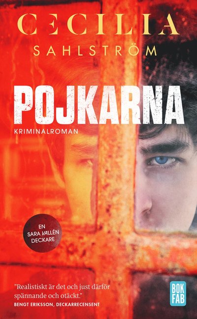 Cover for Cecilia Sahlström · Pojkarna (Paperback Book) (2022)