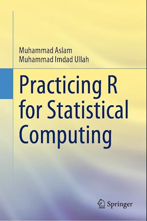 Cover for Muhammad Aslam · Practicing R for Statistical Computing (Hardcover Book) [2023 edition] (2023)