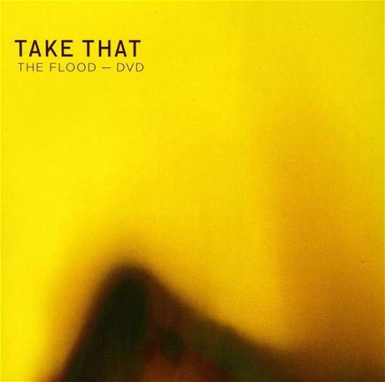 Cover for Take That · Flood (DVD) (2005)