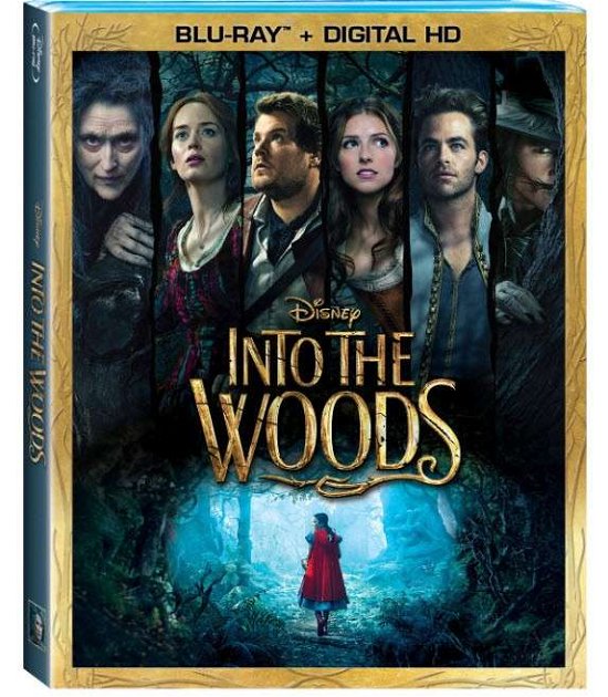Cover for Into the Woods (Blu-ray) (2015)