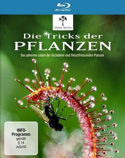 Cover for Die Tricks Der Pflanzen (Blu-ray) (2014)