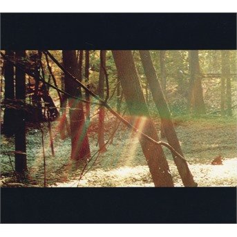 Cover for Childish Gambino · Camp (CD) (2011)