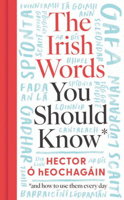 The Irish Words You Should Know: and how to use them every day - Hector O hEochagain - Books - Gill - 9780717199860 - September 13, 2024