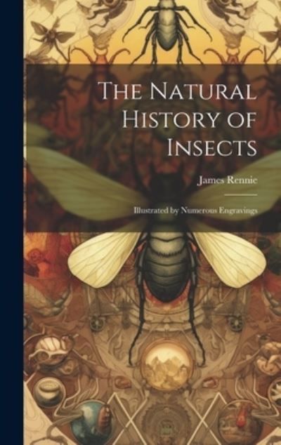 Cover for James Rennie · Natural History of Insects (Buch) (2023)