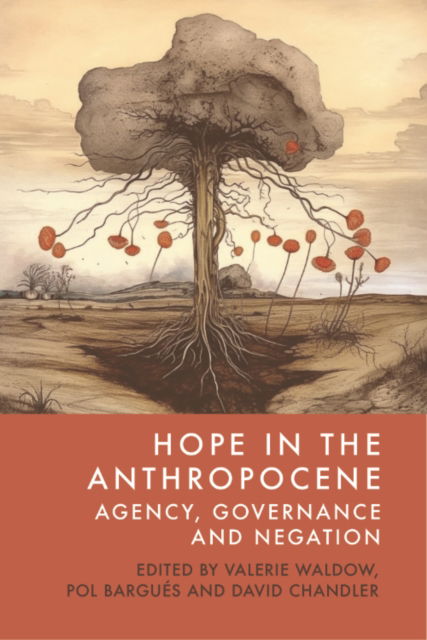 Cover for Hope in the Anthropocene: Agency, Governance and Negation (Paperback Book) (2026)