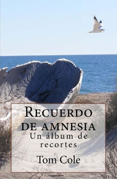 Recuerdo de amnesia - Tom Cole - Books - Createspace Independent Publishing Platf - 9781492196860 - February 21, 2014