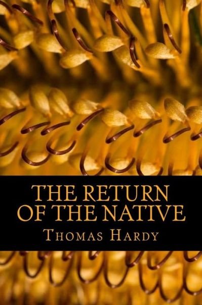 The Return of the Native - Thomas Hardy - Livros - Createspace Independent Publishing Platf - 9781541146860 - 16 de dezembro de 2016