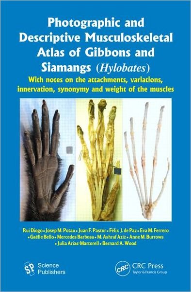 Cover for Rui Diogo · Photographic and Descriptive Musculoskeletal Atlas of Gibbons and Siamangs (Hylobates): With Notes on the Attachments, Variations, Innervation, Synonymy and Weight of the Muscles (Hardcover Book) (2012)