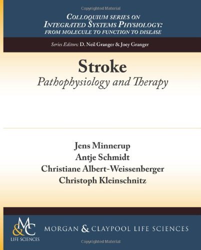 Cover for Jens Minnerup · Stroke: Pathophysiology and Therapy - Colloquium Series on Integrated Systems Physiology: From Molecule to Function (Paperback Book) (2013)