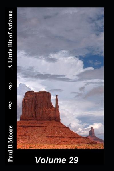 Cover for Paul Moore · A Little Bit of Arizona (Paperback Book) (2018)