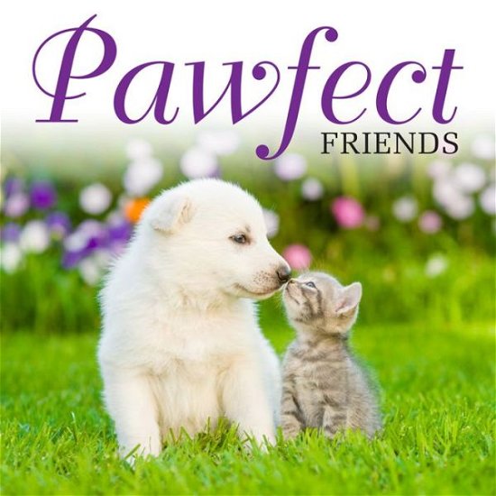Cover for Jack Russell · Pawfect Friends (Hardcover bog) (2018)