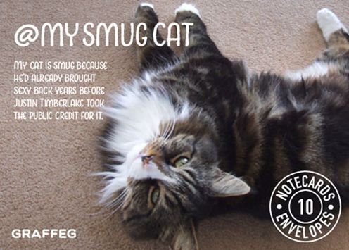 My Smug Cat Notecards - Tom Cox - Merchandise - Graffeg Limited - 9781909823860 - May 14, 2015