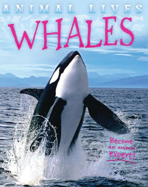 Cover for Sally Morgan · Whales (Hardcover Book) (2015)