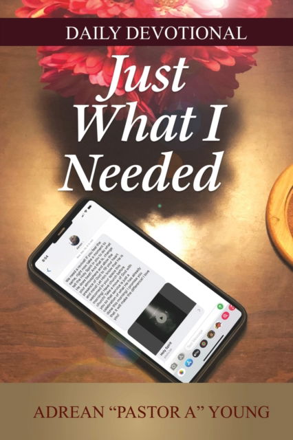 Cover for Adrean Young · Just What I Needed (Paperback Book) (2021)