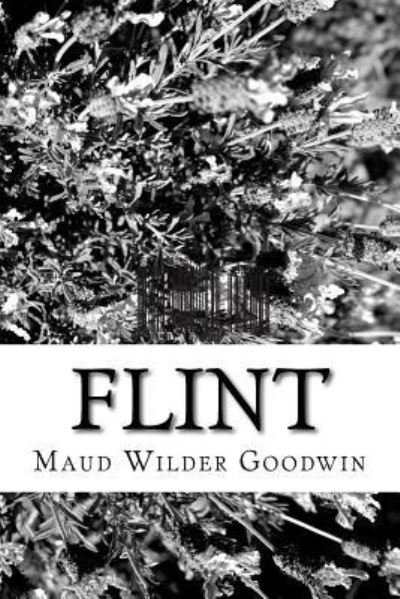 Cover for Maud Wilder Goodwin · Flint (Paperback Book) (2017)
