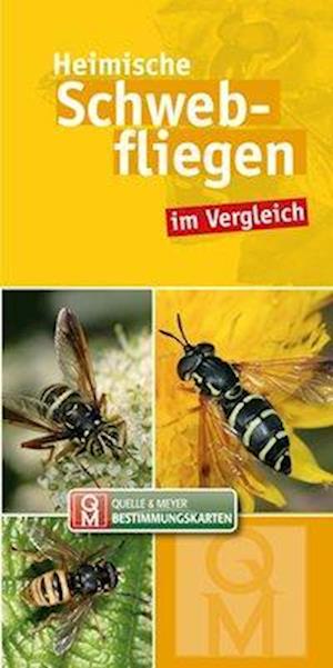 Cover for Quelle &amp; Meyer Verlag · Heimische Schwebfliegen im Vergleich (Lösa papper) (2018)