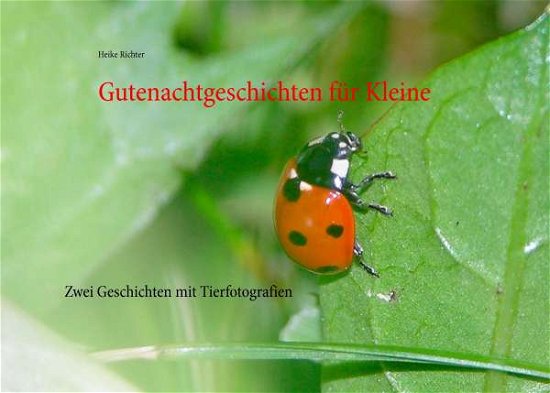 Cover for Richter · Gutenachtgeschichten für Kleine (Book)