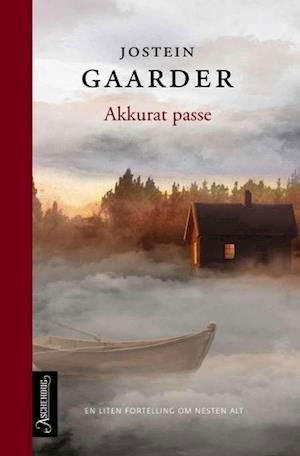 Cover for Gaarder Jostein · Akkurat passe : en liten fortelling om nesten alt (Pocketbok) (2019)