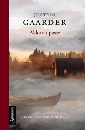 Cover for Gaarder Jostein · Akkurat passe : en liten fortelling om nesten alt (Paperback Book) (2019)