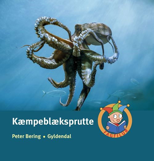 Cover for Peter Bering · Fagfilur: Kæmpeblæksprutte (Bound Book) [1.º edición] (2021)
