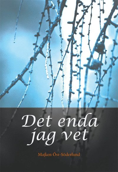 Cover for Majken Öst-Söderlund · Det enda jag vet (Bok) (2013)