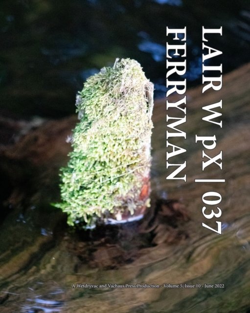 Cover for Wetdryvac · LAIR W pX 037 Ferryman (Paperback Bog) (2024)