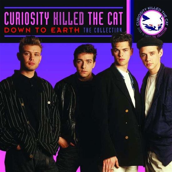 Cover for Curiosity Killed the Cat · Down to Earth the Collection (CD) (2015)