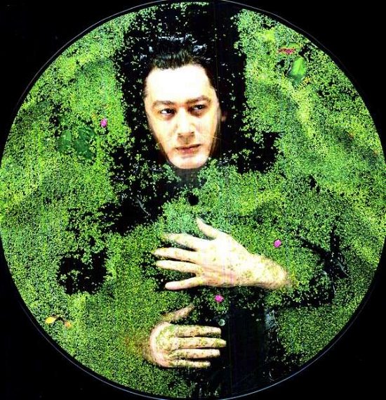 Cover for Alain Bashung · Fantaisie Militaire (LP) [Picture Disc edition] (2012)