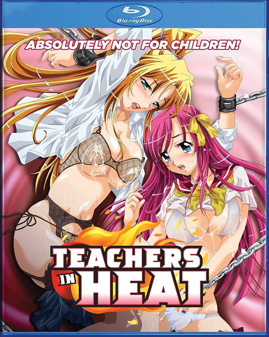 Cover for Teachers in Heat (Blu-Ray) (2023)