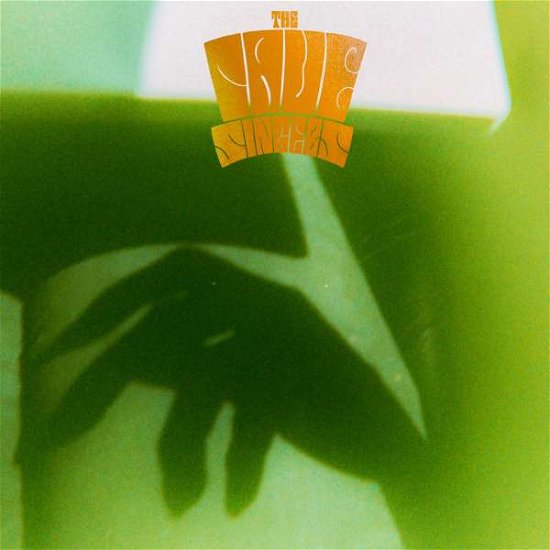 Cover for Unk · The Cave Singers LP (LP) (2016)