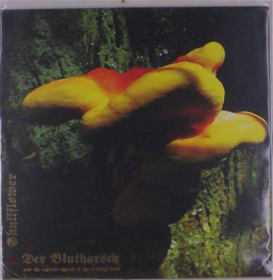 Cover for Der Blutharsch &amp; Skullflower · Angel Of Darkness (LP) (2019)
