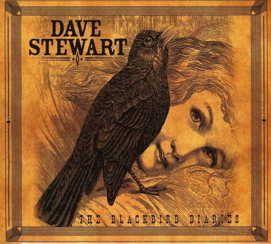 Blackbird Diaries - Dave Stewart - Music - Proper Records - 0805520030861 - July 5, 2011