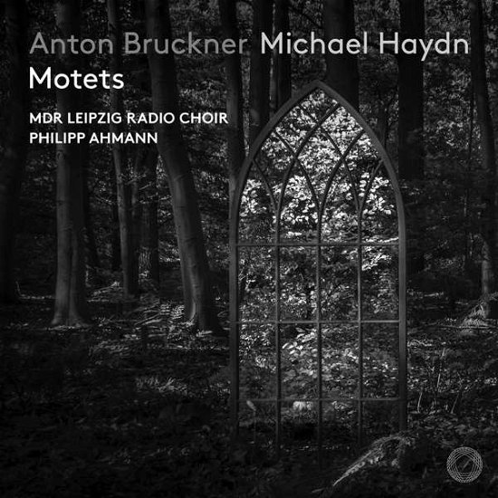 Mdr Leipzig Radio Choir / Philipp Ahmann · Anton Bruckner & Michael Haydn Motets (CD) (2021)