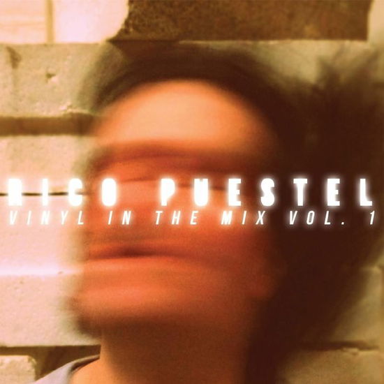 Cover for Rico Puestel · Vinyl in the Mix Vol 1 (CD) (2025)