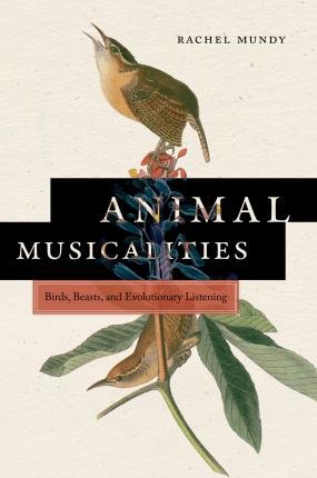 Cover for Rachel Mundy · Animal Musicalities: Birds, Beasts, and Evolutionary Listening - Music / Culture (Paperback Book) (2023)
