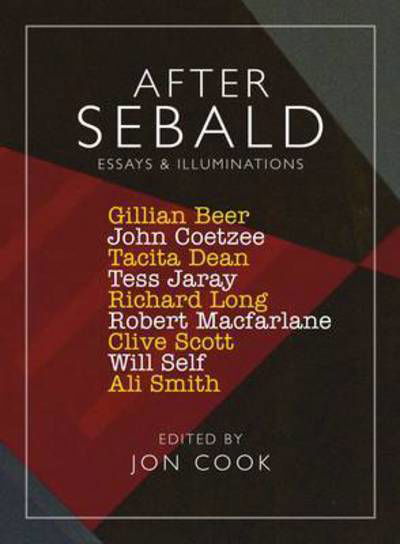 After Sebald: Essays and Illuminations - John Coetzee - Books - UEA Publishing Project - 9780957152861 - November 1, 2014