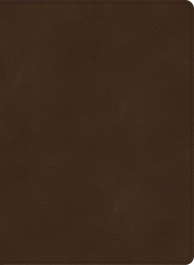 Cover for Holman Bible Staff · CSB Single-Column Wide-Margin Bible, Brown LeatherTouch (Imitation Leather Bo) (2021)