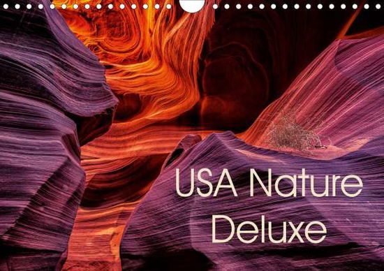 Cover for Leitz · USA Nature Deluxe (Wall Calendar (Book)