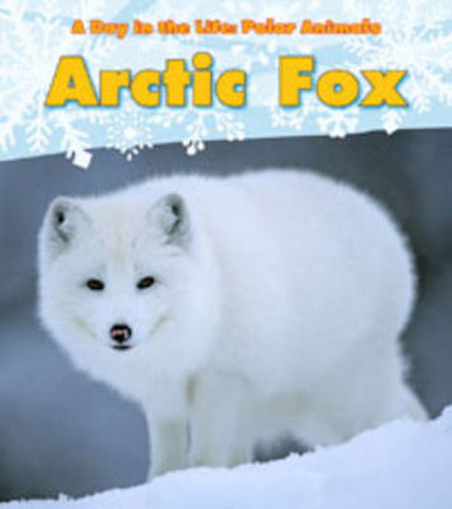 Cover for Katie Marsico · A Day in the Life: Polar Animals Pack A of 3 - A Day in the Life: Polar Animals (Book) (2011)