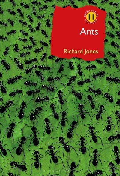 Ants: The ultimate social insects - British Wildlife Collection - Richard Jones - Livros - Bloomsbury Publishing PLC - 9781472964861 - 3 de fevereiro de 2022