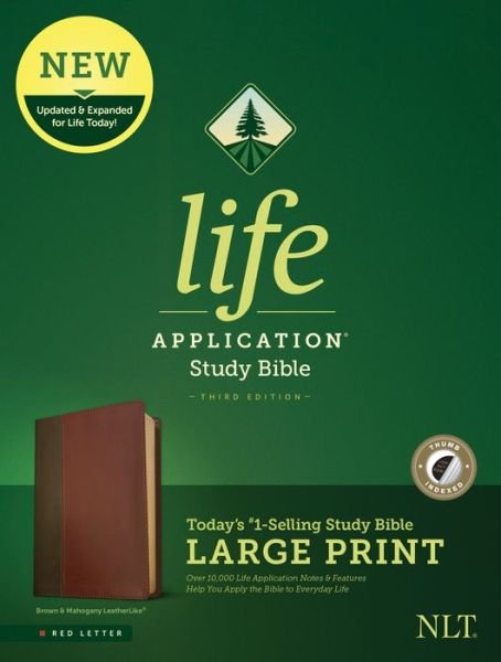 Cover for Tyndale · NLT Life Application Study Bible, Third Edition, Large Print (Red Letter, LeatherLike, Brown / Tan, Indexed) (Buch) (2020)