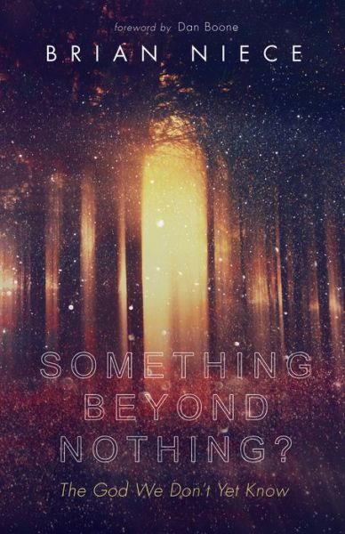 Cover for Brian Niece · Something Beyond Nothing? (Book) (2018)