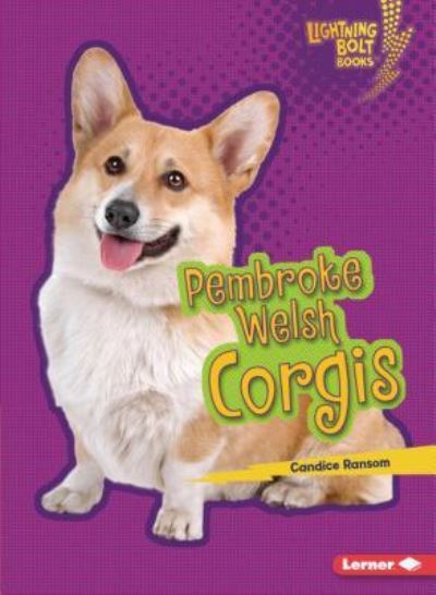 Who's a Good Dog?: Pembroke Welsh Corgis - Sarah Frank - Books - Lerner Publishing Group - 9781541545861 - 2019