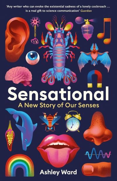 Cover for Ashley Ward · Sensational: A New Story of our Senses (Hardcover Book) [Main edition] (2023)
