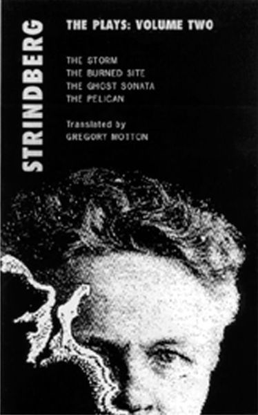 Plays Volume Two: the Chamber Plays / The Great Highway - August Strindberg - Kirjat - Bloomsbury Publishing PLC - 9781840020861 - lauantai 1. syyskuuta 2001