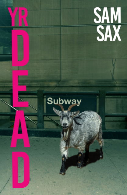 Yr Dead - Sam Sax - Books - Daunt Books - 9781914198861 - August 15, 2024