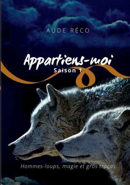 Cover for Aude Reco · Appartiens-moi (Paperback Book) (2020)