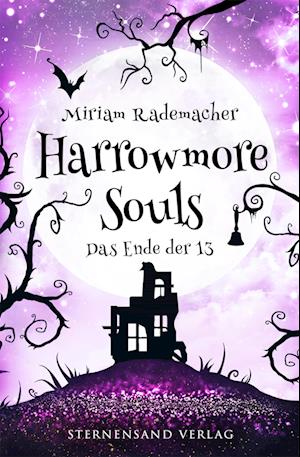 Cover for Miriam Rademacher · Harrowmore Souls (Band 5): Das Ende der 13 (Book) (2023)